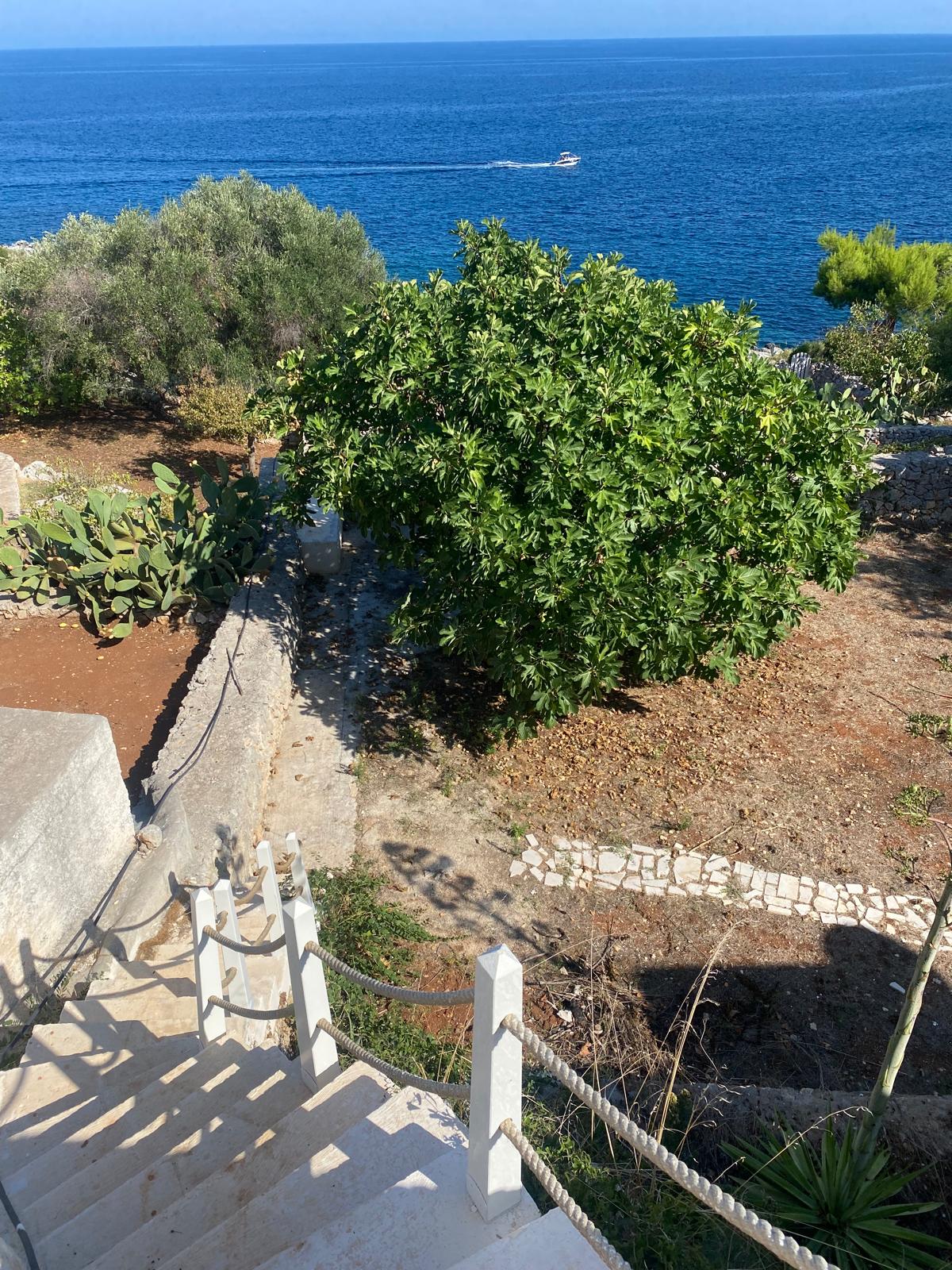 The Paradise - Garden